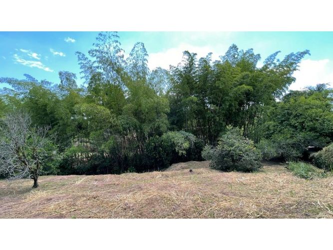 Lote en venta en Cerritos, Pereira, 2546 m² · foto 14 de 24
