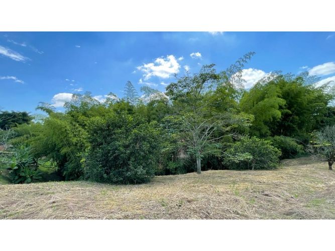 Lote en venta en Cerritos, Pereira, 2546 m² · foto 15 de 24