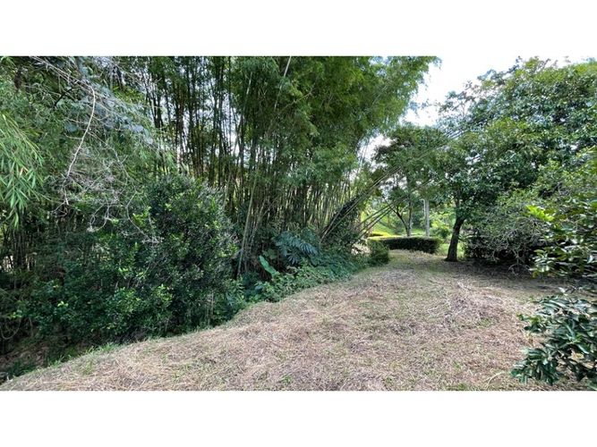 Lote en venta en Cerritos, Pereira, 2546 m² · foto 19 de 24