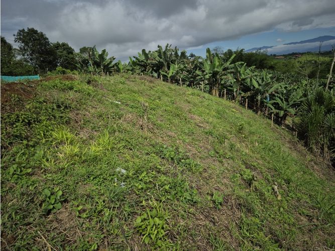 Lote en venta en Combia, Pereira, 2200 m² · foto 18 de 18