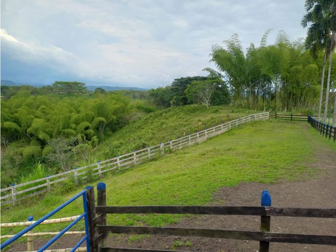 Finca en venta en Morelia, Pereira, 460 m² · foto 2 de 18