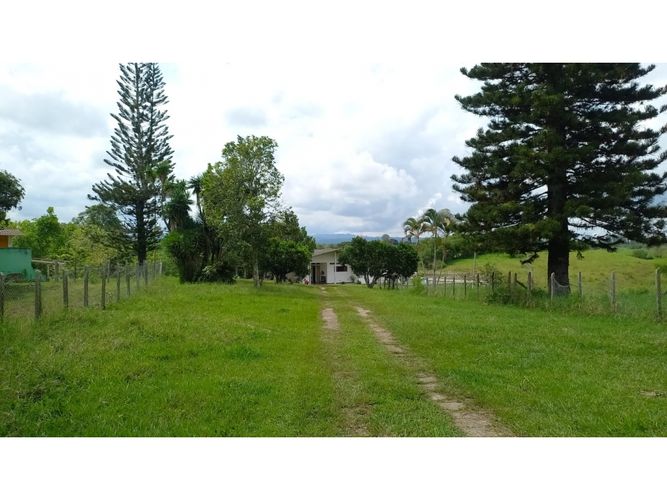 Finca en venta en Morelia, Pereira, 460 m² · foto 3 de 18