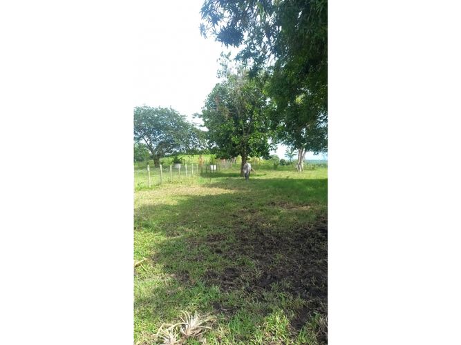 Finca en venta en Morelia, Pereira, 460 m² · foto 4 de 18