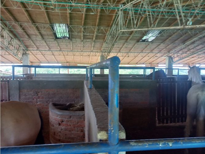 Finca en venta en Morelia, Pereira, 460 m² · foto 5 de 18