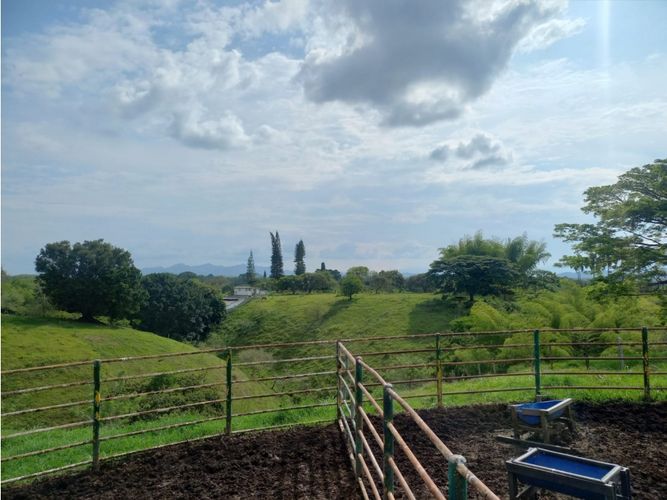 Finca en venta en Morelia, Pereira, 460 m² · foto 6 de 18