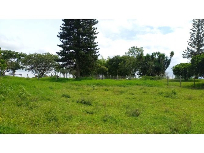 Finca en venta en Morelia, Pereira, 460 m² · foto 7 de 18
