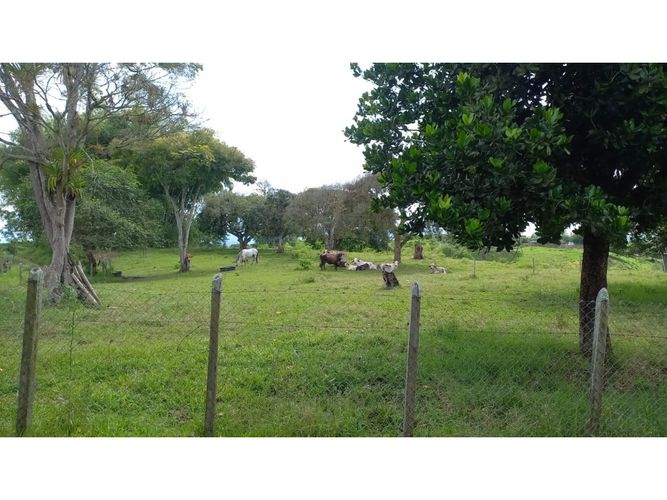 Finca en venta en Morelia, Pereira, 460 m² · foto 8 de 18