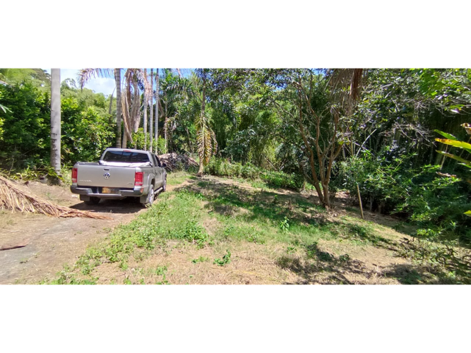 Lote en venta en San Jose Sur, Pereira, 1538 m² · foto 3 de 15