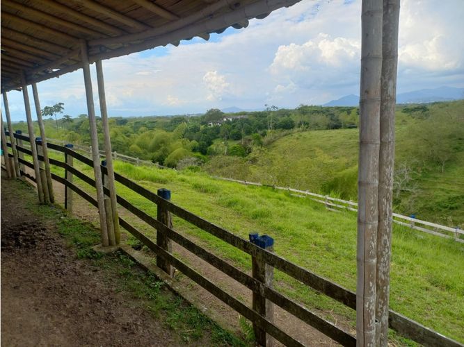 Finca en venta en Morelia, Pereira, 460 m² · foto 9 de 18