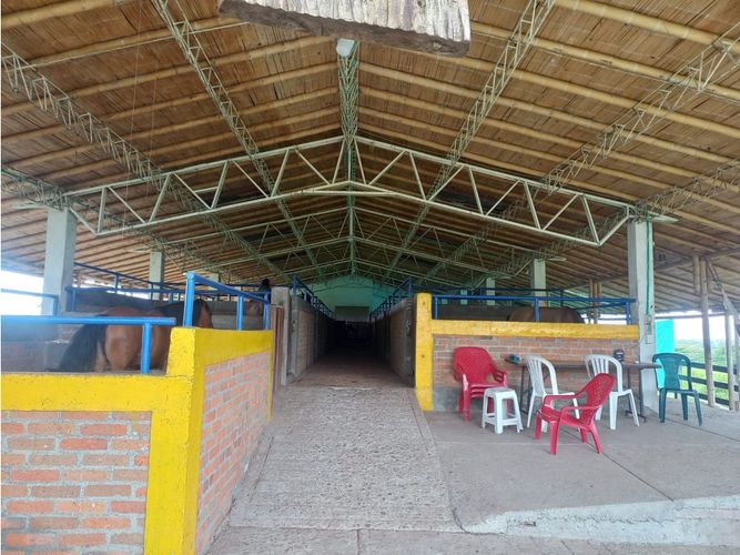 Finca en venta en Morelia, Pereira, 460 m² · foto 10 de 18