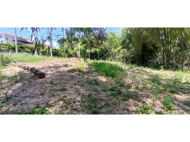 Lote en venta en San Jose Sur, Pereira, 1538 m² · foto 4 de 15