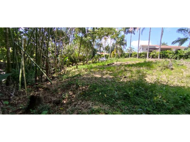 Lote en venta en San Jose Sur, Pereira, 1538 m² · foto 5 de 15