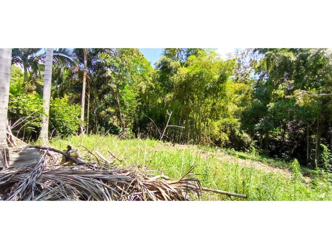 Lote en venta en San Jose Sur, Pereira, 1538 m² · foto 6 de 15