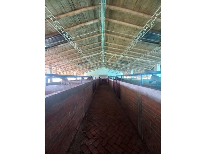 Finca en venta en Morelia, Pereira, 460 m² · foto 12 de 18
