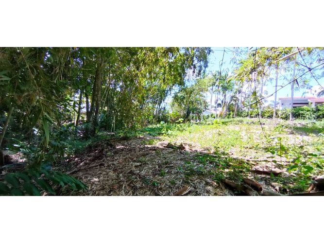 Lote en venta en San Jose Sur, Pereira, 1538 m² · foto 7 de 15