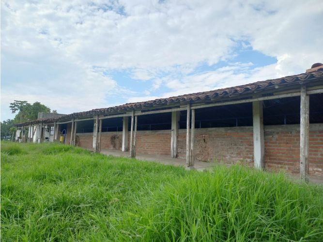 Finca en venta en Morelia, Pereira, 460 m² · foto 14 de 18