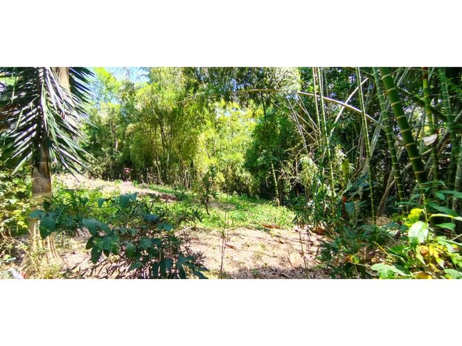 Lote en venta en San Jose Sur, Pereira, 1538 m² · foto 9 de 15
