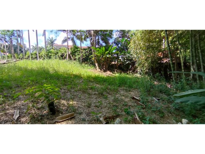 Lote en venta en San Jose Sur, Pereira, 1538 m² · foto 10 de 15