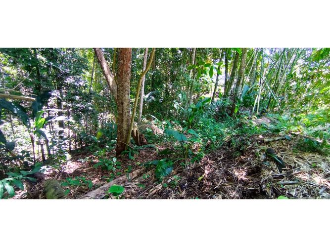 Lote en venta en San Jose Sur, Pereira, 1538 m² · foto 11 de 15