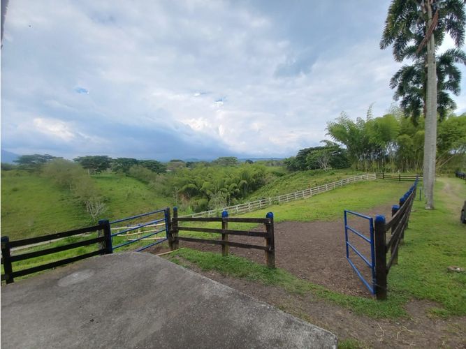 Finca en venta en Morelia, Pereira, 460 m² · foto 18 de 18