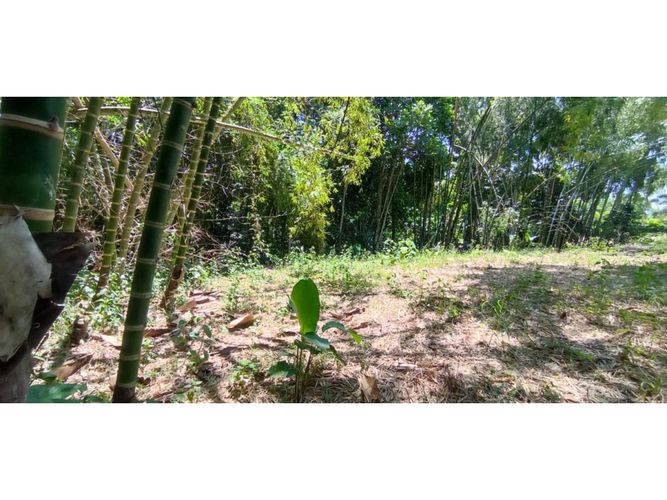Lote en venta en San Jose Sur, Pereira, 1538 m² · foto 12 de 15