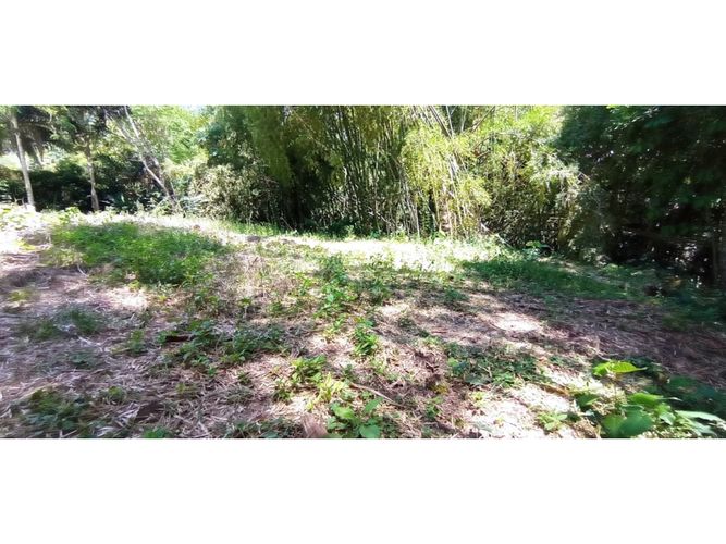 Lote en venta en San Jose Sur, Pereira, 1538 m² · foto 13 de 15