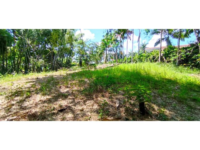 Lote en venta en San Jose Sur, Pereira, 1538 m² · foto 14 de 15
