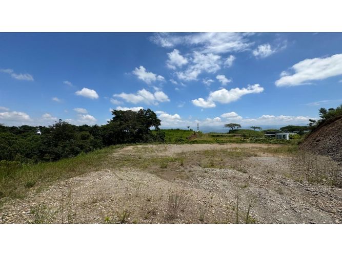 Lote en venta en Cerritos, Pereira, 3924 m² · foto 3 de 15