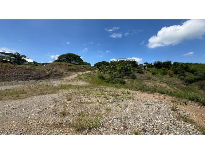 Lote en venta en Cerritos, Pereira, 3924 m² · foto 6 de 15