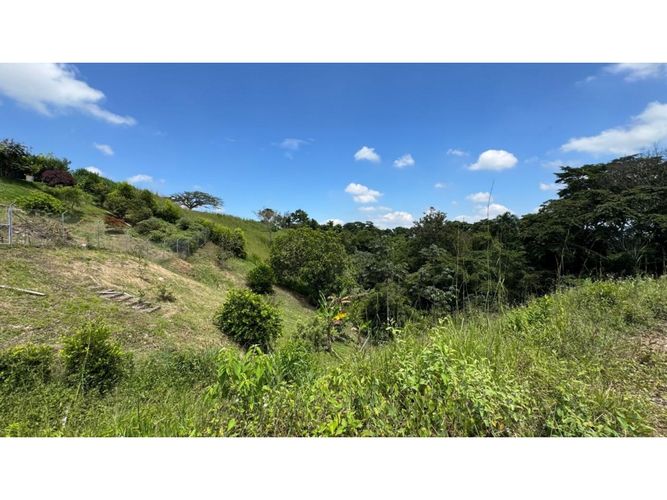 Lote en venta en Cerritos, Pereira, 3924 m² · foto 7 de 15