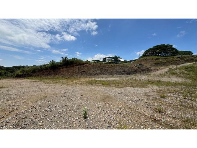 Lote en venta en Cerritos, Pereira, 3924 m² · foto 8 de 15