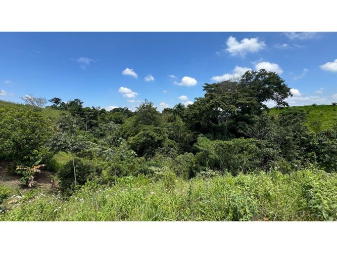 Lote en venta en Cerritos, Pereira, 3924 m² · foto 9 de 15