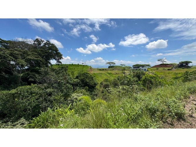 Lote en venta en Cerritos, Pereira, 3924 m² · foto 14 de 15