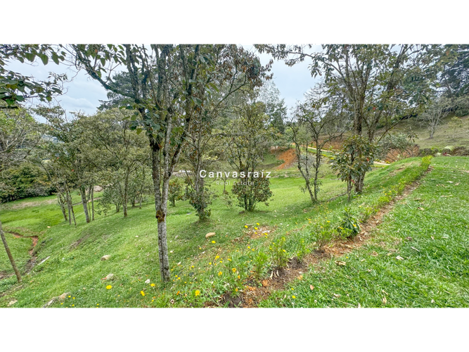 Finca en venta en Sajonia, Rionegro, 263 m² · foto 10 de 14