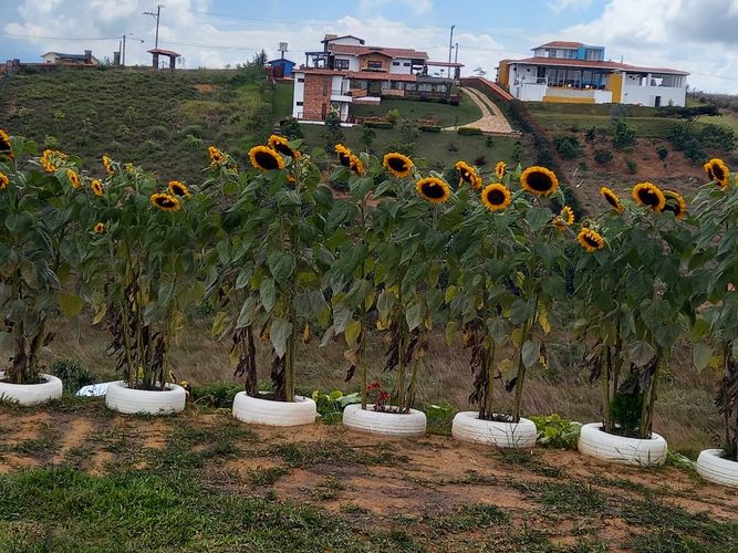 Casa de 5 alcobas en venta en Mesa De Los Santos, Piedecuesta · foto 22 de 24