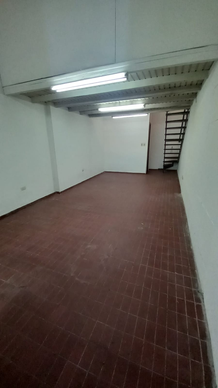 ALQUILER DE SALON COMERCIAL SOBRE AVDA. RODRIGUEZ DE FRANCIA — foto 2