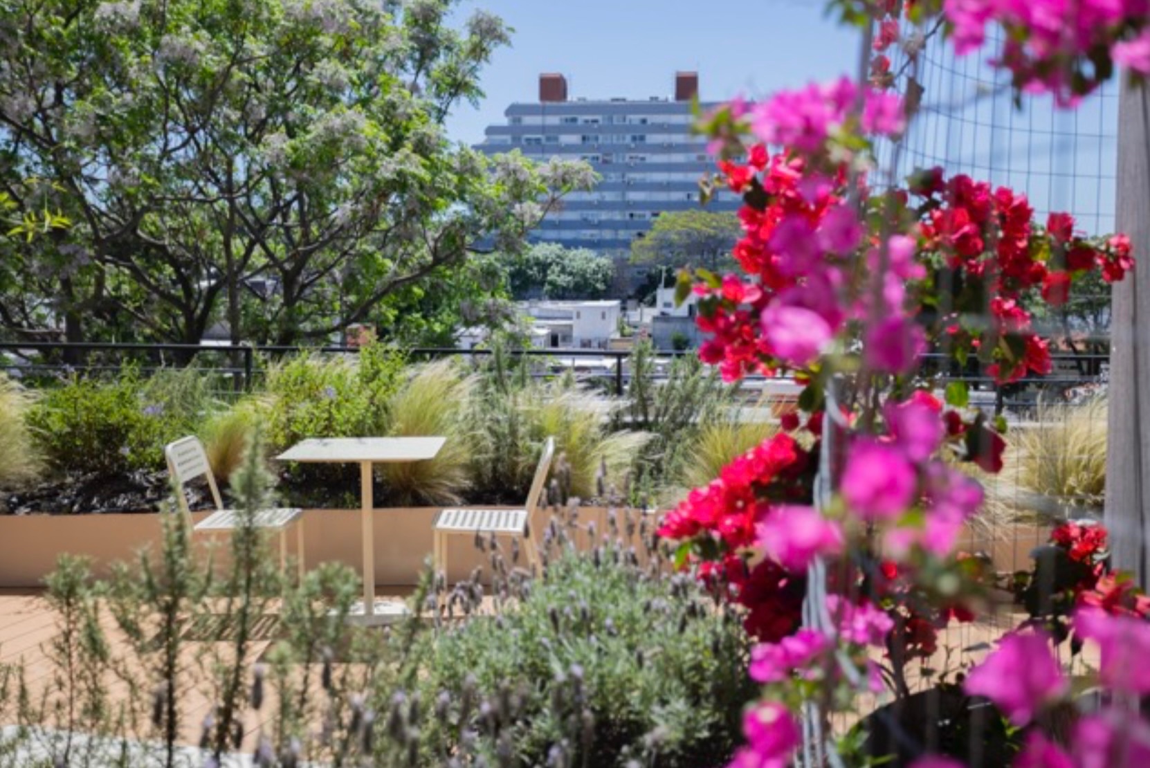 Alquiler Parque Batlle nuevo · Foto 1