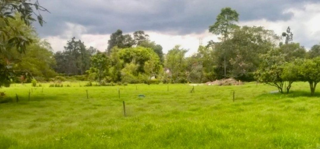 Finca en venta en El Porvenir, Rionegro, 27105 m² · foto 11 de 24