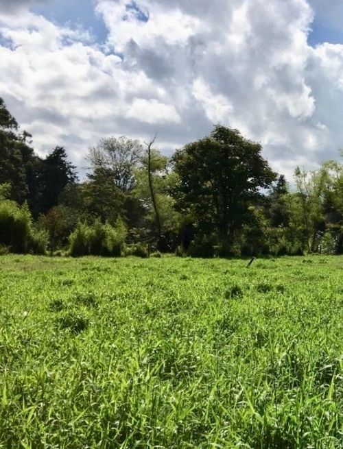 Finca en venta en El Porvenir, Rionegro, 27105 m² · foto 17 de 24