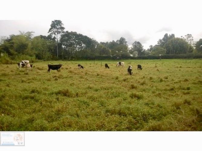 Finca en venta en El Porvenir, Rionegro, 27105 m² · foto 9 de 24