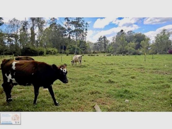 Finca en venta en El Porvenir, Rionegro, 27105 m² · foto 15 de 24