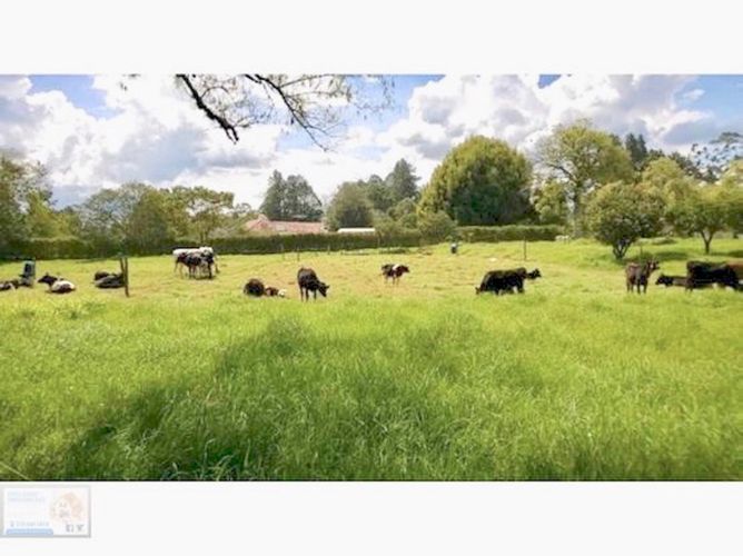 Finca en venta en El Porvenir, Rionegro, 27105 m² · foto 8 de 24