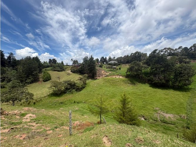 Finca en venta en Bello Horizonte, Bello, 41000 m² · foto 3 de 7