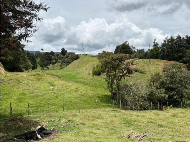 Finca en venta en Bello Horizonte, Bello, 41000 m² · foto 5 de 7
