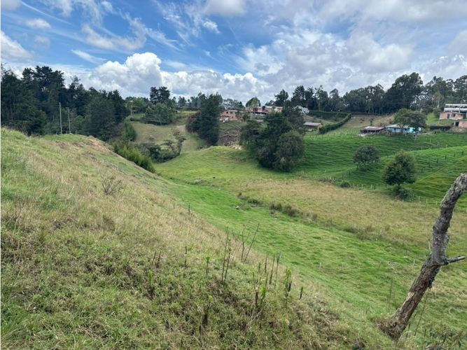 Finca en venta en Bello Horizonte, Bello, 41000 m² · foto 6 de 7