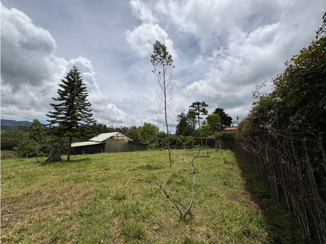Finca en venta en Bello Horizonte, Bello, 41000 m² · foto 7 de 7