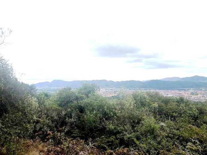 Lote en venta en Yerbabuena, Chía, 10000 m² · foto 2 de 20