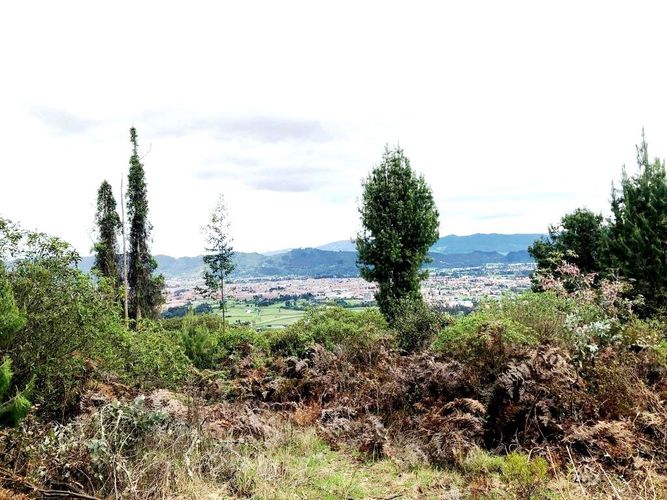 Lote en venta en Yerbabuena, Chía, 10000 m² · foto 10 de 20