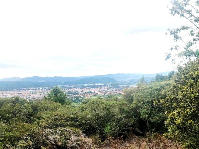 Lote en venta en Yerbabuena, Chía, 10000 m² · foto 7 de 20