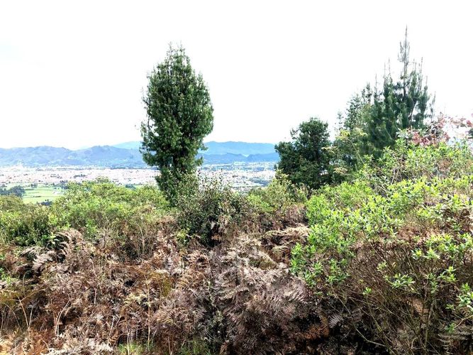 Lote en venta en Yerbabuena, Chía, 10000 m² · foto 20 de 20
